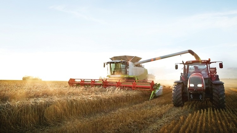 Australia’s runaway farmland prices are terrifying, at least to this farmer   By Pete Mailler