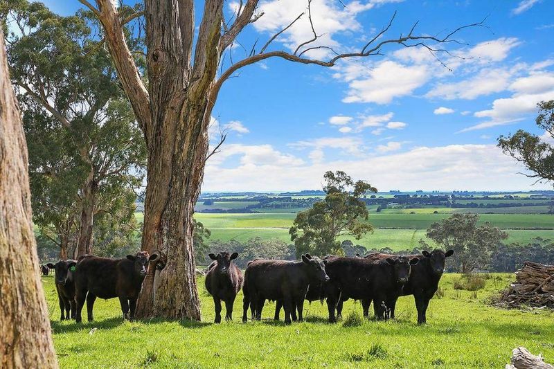 Timing tips for buying and selling farms    Credit Marian Macdonald